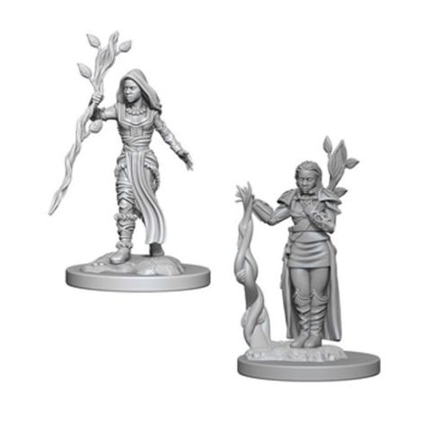 Nolzurs Marvelous Miniatures - Human Druid